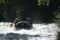 Rafting en el rio Porma