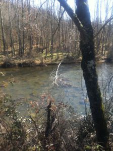 IMG 20120314 WA0003 224x300